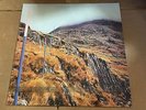 SECTION 25 from the hip LP Record FACT90 vg