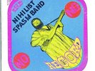 NIHILIST SPASM BAND - No Record - LP Lion