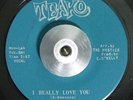 Chicago Sweet Soul Funk 45 THE MYSTICS I Really Love You on Teako VG++