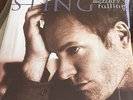 STING Mercury Falling 12