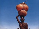 African Electronic Music 1975-82 - Bebey,Francis (2012, Vinyl NEUF)