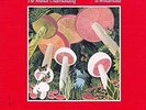 In Wonderland - Mutual Understanding (2014, Vinyl NEW)