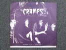 THE CRAMPS HUMAN FLY 45 FIRST PRESSING 1978 +GLOW IN THE DARK PICTURE SLEEVE PS