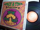 THE ORANGE ALABASTER MUSHROOM uk LP Space & Time-compendium PSYCH cosmic FUZZ