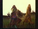 FIRST AID KIT-THE LIONS ROAR-VINYL LP WICHITA/PLAY IT AGAIN SAM NEW