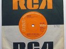 TONTON MACOUTE Summer of our love UK psych/prog RARE 1972 single RCA (NEON)