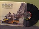 The Beach Boys 