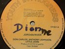 Don Carlos Anthony Johnson Little John Jordan River Killer Roots 12
