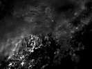 SCOTT WALKER & SUNN O))) Soused 2 x 180gm Vinyl LP 2014 NEW 4AD