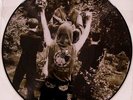 DEATH IN JUNE Nada Plus - Ltd. 500 Picture LP / Import / Neu / New