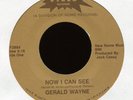 GERALD WAYNE Now I Can See on Starr Modern Soul 45 NM Hear