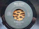 Dani Raye - My Precious One 45RPM Mo-City RARE Low Rider Northern Soul Detroit