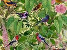 MARK BARROTT - SKETCHES FROM AN ISLAND NEW VINYL