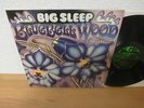 BIG SLEEP BLUEBELL WOOD 1971 MINT TOP RARE PROGRESSIVE