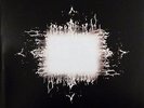 TOOL 2LP VINYL AENIMA