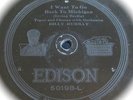 Billy Murray - In Siam / I Want To Go Back To Michigan - Edison 50198