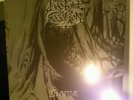 Inquisition / Profane Creation? Split DLP