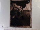 Pixies SURFER ROSA LP USA 821797129619 Mobile Fidelity Sound Lab new