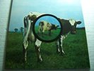 Pink Floyd-Atom Heart Mother-Ltd.Ed. aus UK LP-Box von 1997-7243 8 59861 1 6