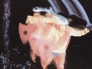 Paranoid - Black Sabbath (2004, Vinyl NEUF)