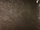 FAUST - Just Us - LP