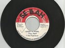 T BIRD EXPERIENCE / ROOTS IN ROOTS / ROOTS DUB / 7''/ VG