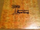 AMERICAN SPRING  LP BRIAN WILSON (BEACH BOYS ) RARE 1971 UK PRESS  NEAR  MINT