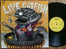 CATFISH - Live Catfish feat. Bob Hodge - LP - 67/GER -PROG- VERY RARE