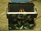 Kate Bush 