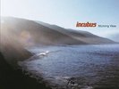 INCUBUS**MORNING VIEW (GATEFOLD/180 GRAM)**2 VINYL SET