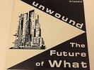 Unwound The Future Of What LP 1st Press Kill Rock Stars Punk Indie Vinyl 1995