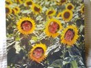 Sunnyboys 'INDIVIDUALS' 12