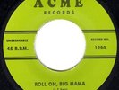 PRIMITIVE ROCKABILLY BOP - G. SELF - ROLL ON BIG MAMA - VERY RARE REPRO 45'