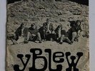 Y BLEW / MAES 'B' / WELSH PSYCH FREAKBEAT MOD ROCK/ RARE 7