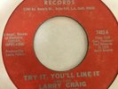 LARRY CRAIG - try it, youll like it b/w do it again - SPIRIT -  MODERN