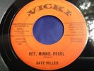Rare Ohio Teen Rocker 45 : Dave Miller   Hey, Minnie Pearl   Vicki VI 640