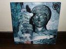 Death In June- Cathedral of Tears Gatefold Double Red LP RARE Limited 400 w/ 7