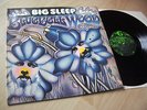 LP BIG SLEEP - BLUEBELL WOOD 1971 GER-GLOBAL LAMINATED FOC PROG-MONSTER 16 FOTOS