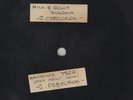 * ACETATE DUB PLATE - JOHNNY OSBOURNE - HANGING TREE + 3 MORE  *