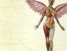 Nirvana In Utero Clear Vinyl LP 1993 Rare Limited DGC-24606 With Inner Sleeve NM