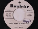JIMMY LLOYD: Where The Rio De Rosa Flows / The Beginning Of The End 45 (dj, #ol