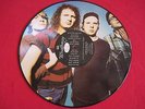 GRUNGE ROCK LP - MUDHONEY (1991) PICTURE DISC - EVERY GOOD BOY DESERVES - ERIKA