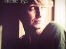 SHELLEY, Joan - Electric Ursa - Vinyl (LP)