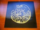 AARDVARKS 1st - LOW KEY HARD GUITAR ROCK - PRIVATE PRESSING - NM ORIGINAL LP