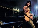 GRAM PARSONS - SLEEPNESS NIGHTS (IMPORT) NEW VINYL
