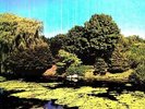 Terraform - Shellac (2010, Vinyl New)