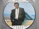 Bruce Springsteen Tunnel of love N.Mint LP Picture Disc With Mint Sleeve