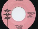 HEAR - Rare Power Pop 45 - The Trend - She's Hi-Fi - KSS # 8104