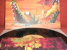 KROKODIL- 