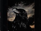 The Raven - EX Stranglers UK vinyl LP album record UAG30262 UNITED ARTISTS